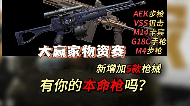 【暗区爆率】新增加5款枪械，有你的本门枪吗？大赢家物资赛，第三季，暗区突围，湫十三