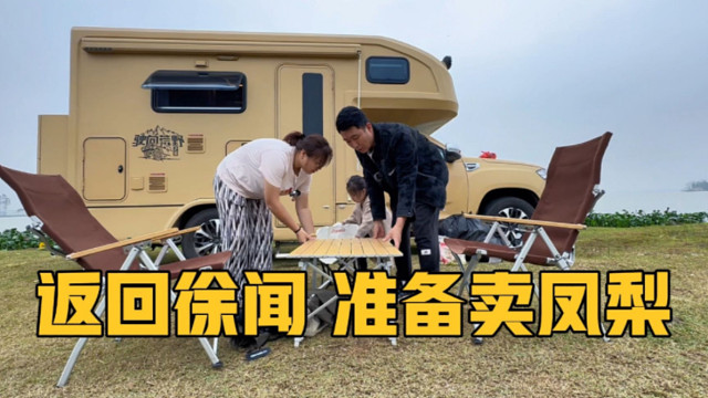 房车旅行返回徐闻，参观菠萝基地，准备卖凤梨，晚上又发现新夜市