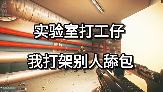 实验室打工仔 我打架别人舔包