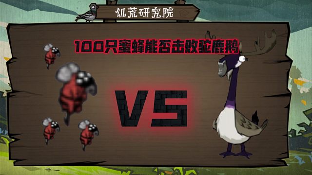 【饥困荒野】怪物斗兽场蛰人蜂vs驼鹿鹅