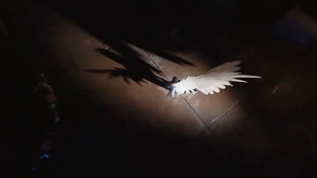 粉丝音乐安利大赛:短短几句歌词道出了多少人的心声-10