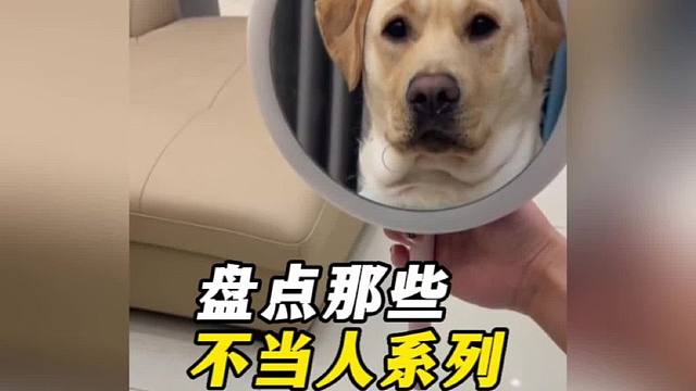 盘点那些不干人事的人类，一时之间分不清谁才是狗，真是损到家了