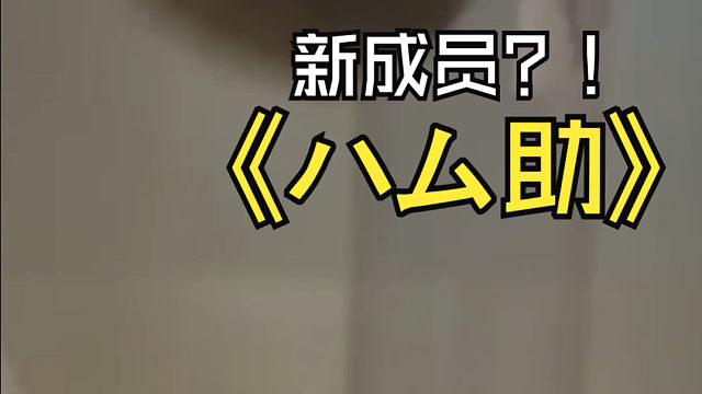 【整活】我们回来啦！新成员公开！