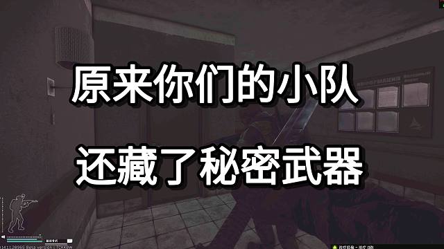 原来你们的小队 还藏了秘密武器