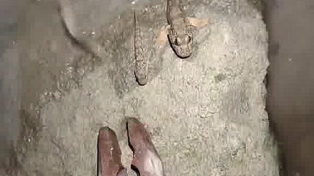 捉这个需要什么技巧