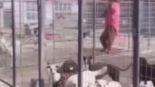 努力与天赋哪个更重要