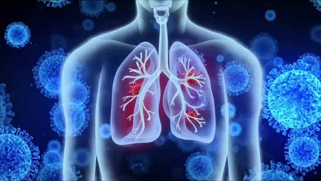 吃香菜真的觉得香吗？