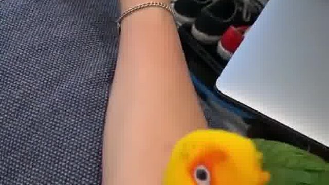 ？？？是我暗示的不够明显吗？