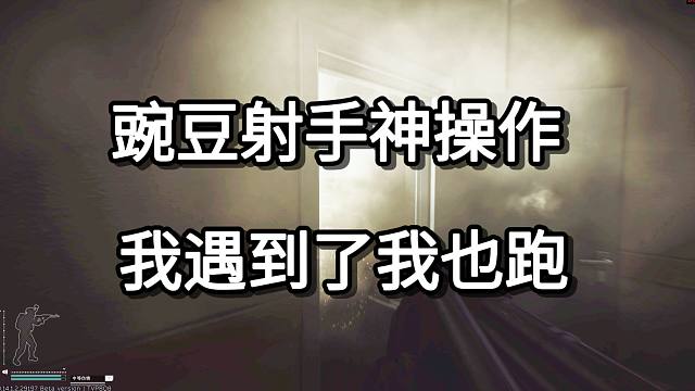 豌豆射手神操作 我遇到了我也跑