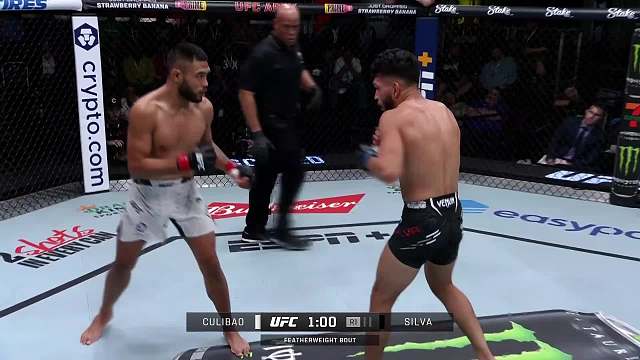 UFC 格斗之夜239 约书亚·库里宝 VS 丹尼·席尔瓦 清流