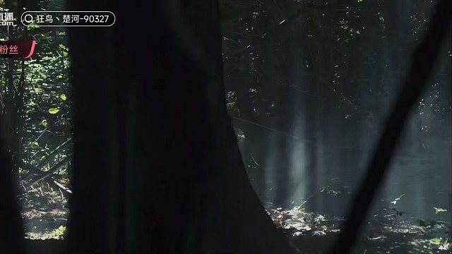 楚可汗有要策马战天下了，横扫欧洲