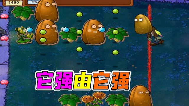 植物大战僵尸：始于礼盒终于礼盒，二连礼盒心服口服