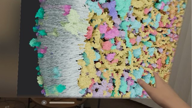 Vision Pro全面颠覆生物课！生物老师哭了！！！