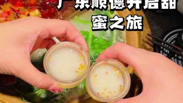品味正宗广式美食，探索顺德文化之旅