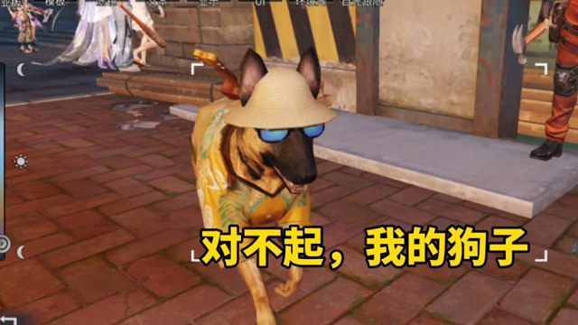 我太对不起我的狗子了！