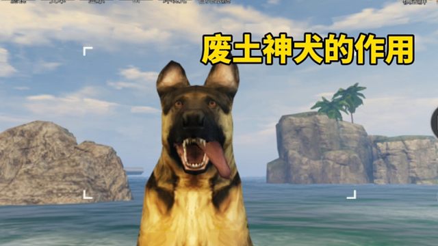 废土神犬的作用