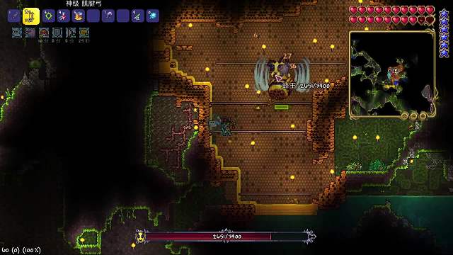 【泰拉瑞亚】再战蜂王