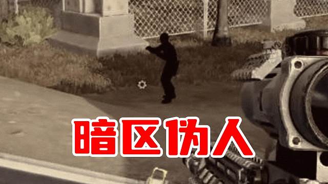 啊？我遇到暗区伪人了！