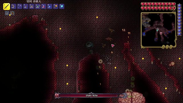 【泰拉瑞亚】挑战克苏鲁之脑