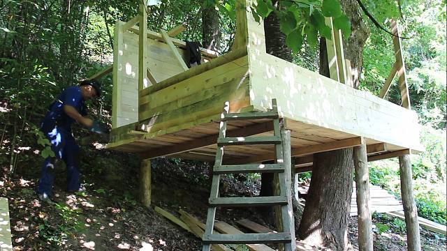 鸟语花香的森林，动手在里面建造木屋别院来居住，太奢华享受了