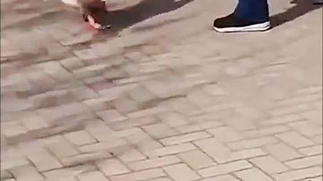 农村恶霸不好惹