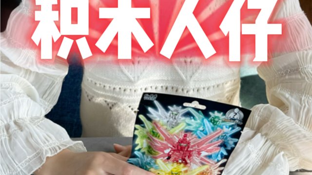 所以这到底是哪个机体？高达积木人仔开袋