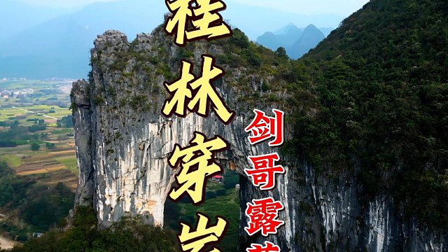 据说很多人都吃不得折耳根香菜…放在整个露营界美食界都是相当炸裂的存在