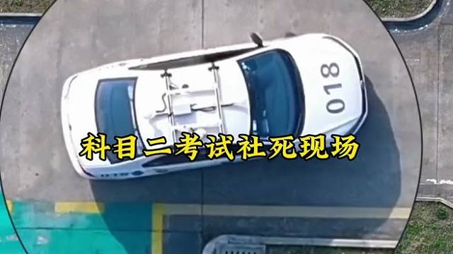 看菜鸟乐园，品百味驾考！我们教练都会怀念以前的学员，作为学员的你们会不会怀念教练呢#考驾照 #关注教