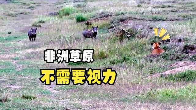 那些幸运或倒霉的动物们！