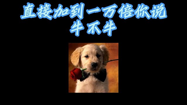 禅游主播苏三三国麻将直接加到10000倍，你说牛不牛？！