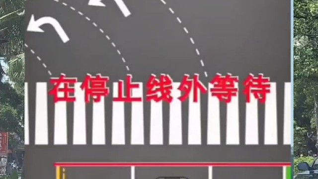 左转弯待转应该怎么走？#左转待转区 #左转弯待转 #每天一个用车知识