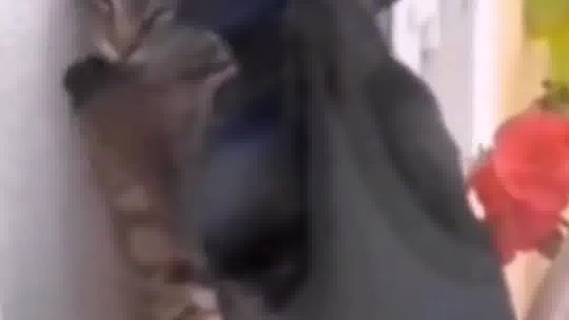 大人，你不要这样，我要叫了~