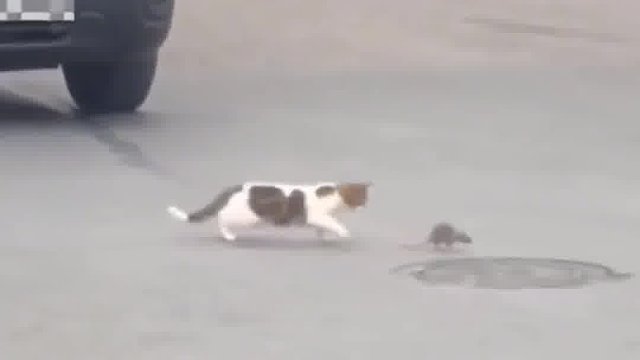 惊不惊喜，意不意外？