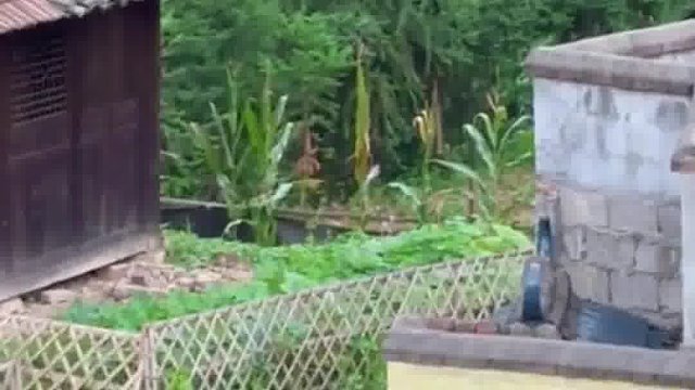 来啊，快活啊，反正有