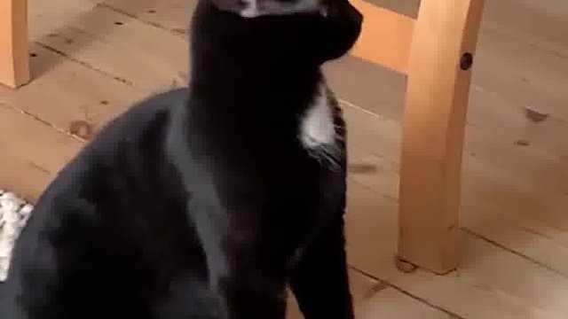 别眨眼，它要变身了！