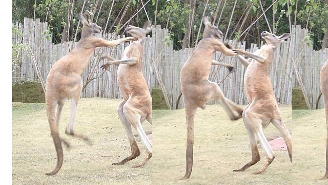 打的每一下，都是在卡节奏上