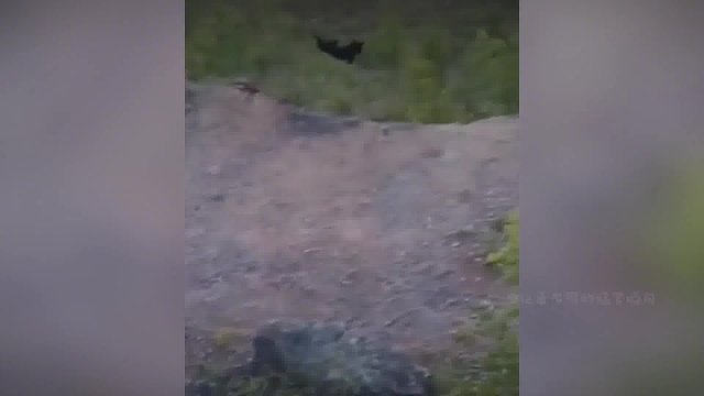 夏天要来了，我的酒搭子，你有在好好练酒吗？