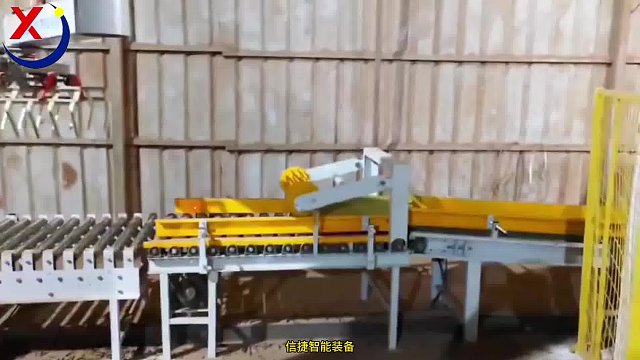 全自动包装生产线，码垛机中的保时捷，立柱机器人生物质颗粒码垛