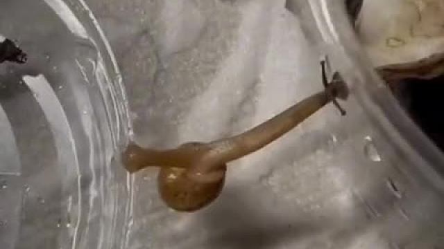 单身久了，看见一对的都感觉不合适