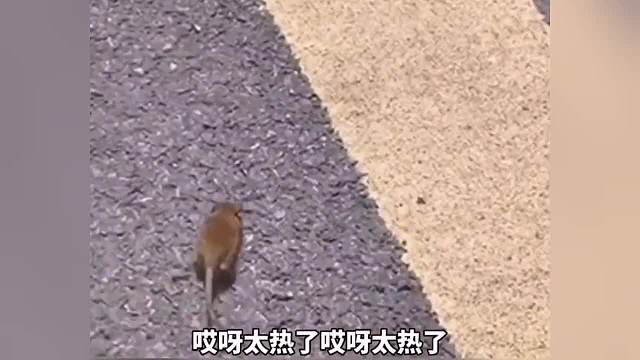 打针护士是个美女 孩子的反应亮了