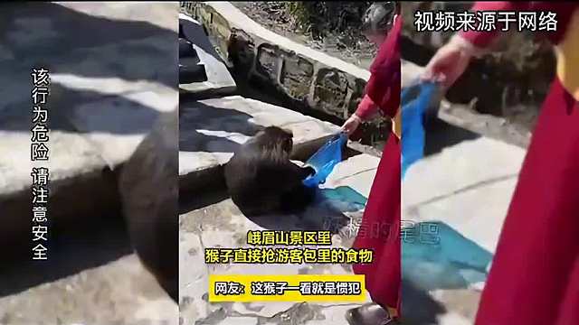盘点峨眉山的猴子有多凶残，一定要看到最后有惊喜！
