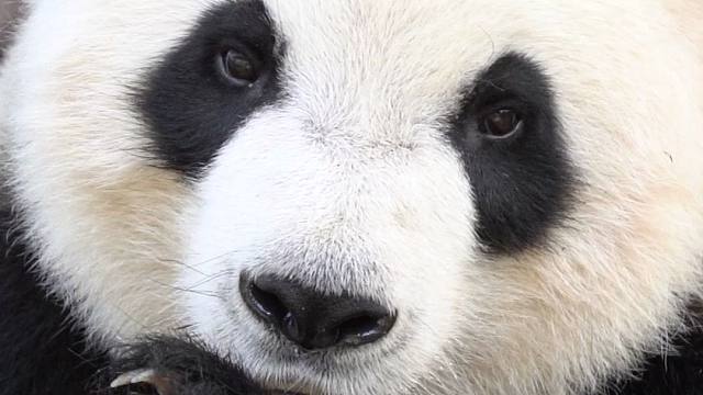 长的好看，连身体都是甜的