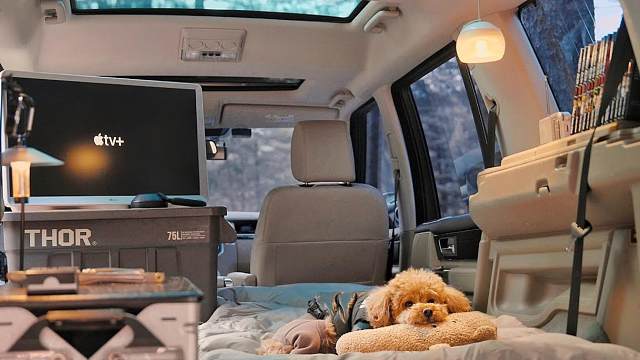 小狗陪伴下的森林车宿，温馨旅行中的美好记忆！路虎Discovery 4.柴火声.柳营地