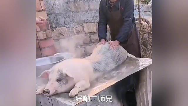 搞笑配音：男人至S是少年，大爷不愧是大爷…太搞笑了