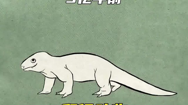 一个视频带你看懂从鱼到人类的演化过程，地球46亿年的沧海桑田才孕育了如今的人类。