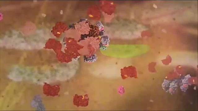 一个视频看懂人在死亡后都会发生什么样的变化，你将不再畏惧离世，更懂珍惜当下好好生活。