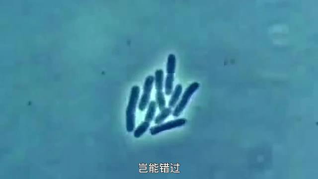 一个视频看懂狂犬病毒是如何入侵人体，怎么发作的？