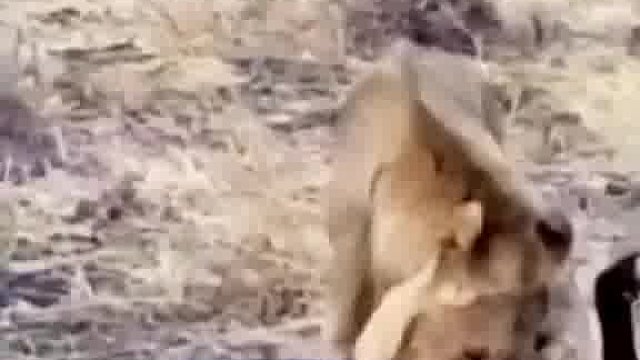 我寻思着也没啥用，就给它了