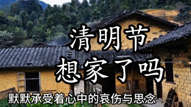 清明时节雨纷纷，路上行人欲断魂