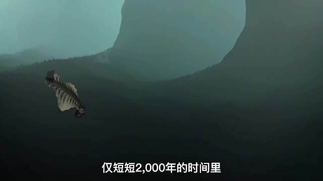 一次性看完地球46亿年的进化史，里面记录了地球不同时期的所有模样！